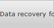 Data recovery for Bronx data